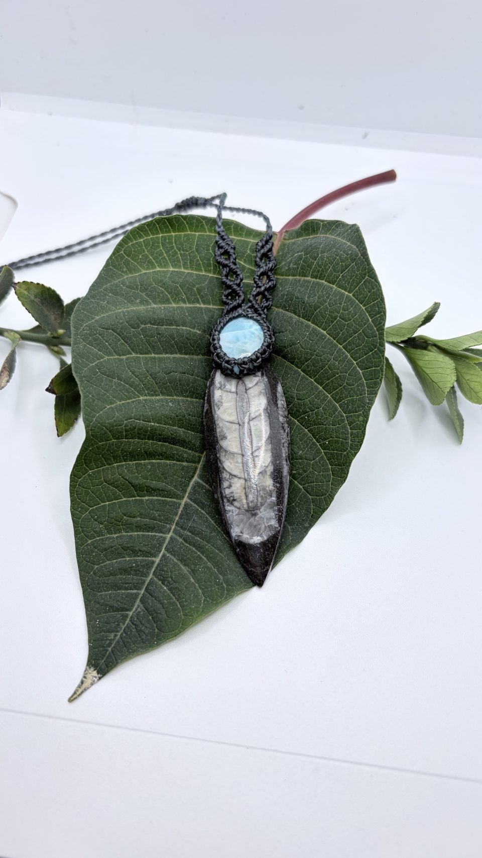 Collar fósil de orthocera y larimar de macramé