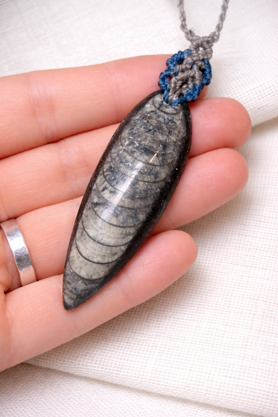 Collar Fósil de Ortocera en Macramé